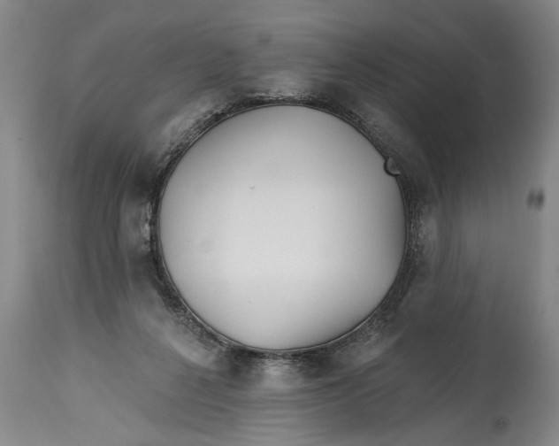 X0000114400264200911061545