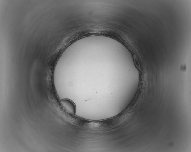 X0000114400265200911061545