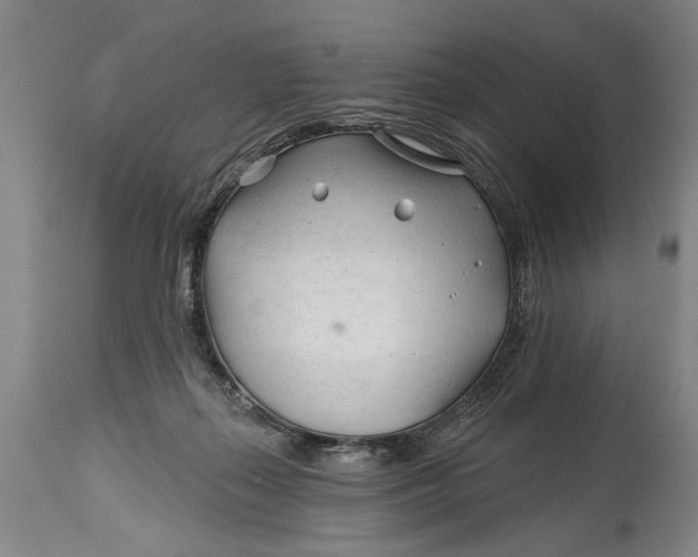 X0000114400267200911061545