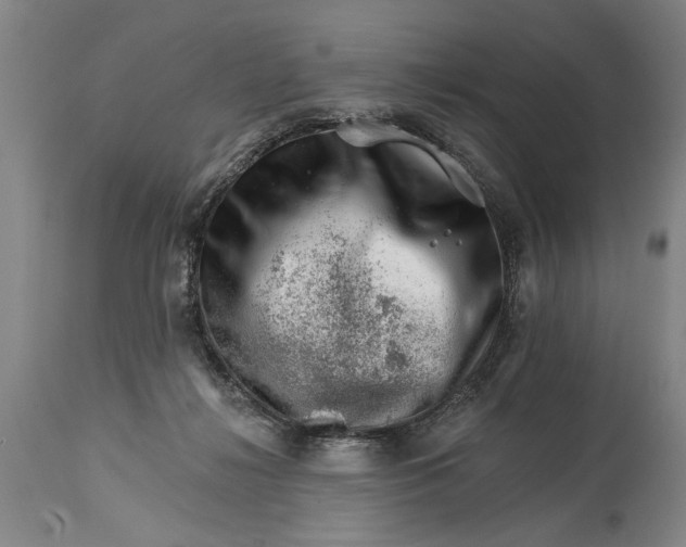 X0000114400268200911061545