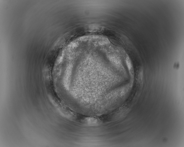 X0000114400272200911061545