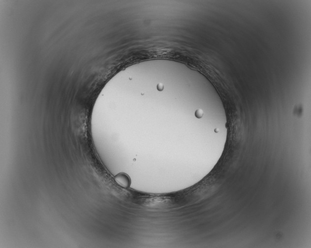 X0000114400274200911061545