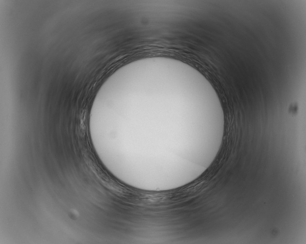 X0000114400275200911061545