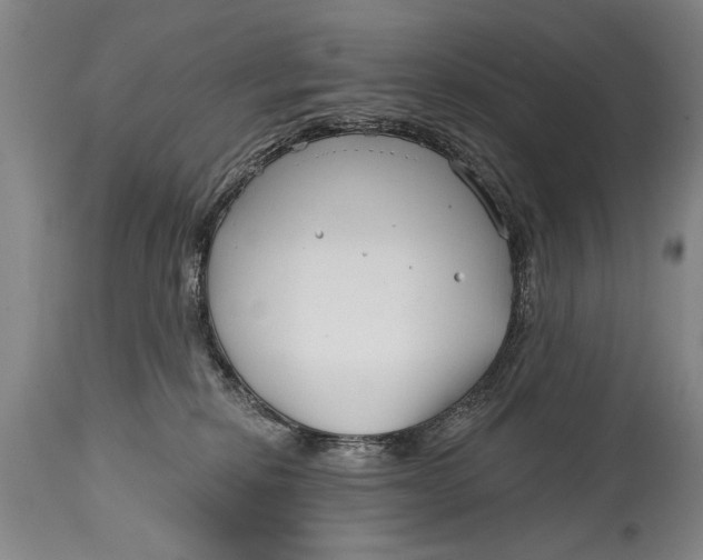 X0000114400278200911061545