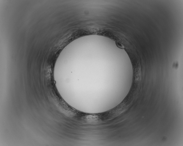 X0000114400279200911061545