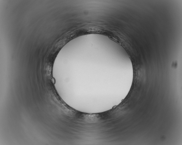 X0000114400281200911061545