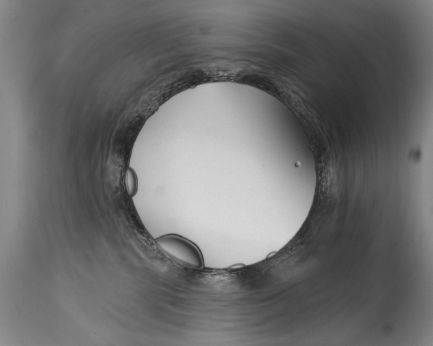 X0000114400283200911061545