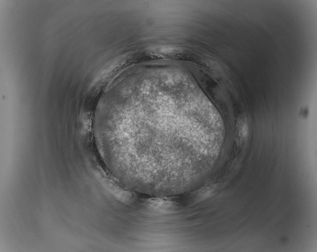 X0000114400284200911061545