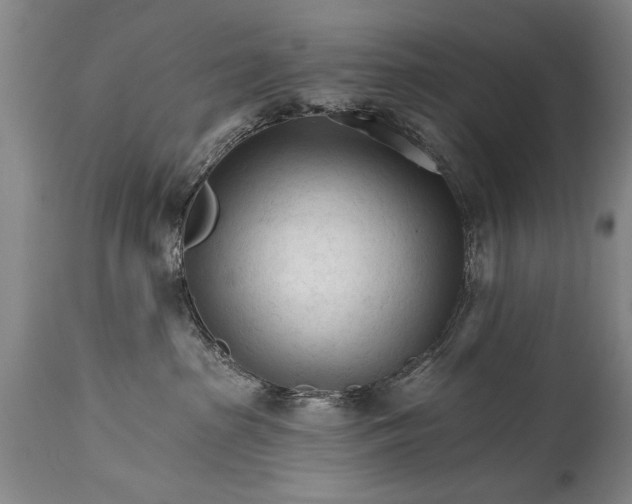 X0000114400285200911061545