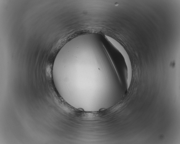 X0000114400286200911061545