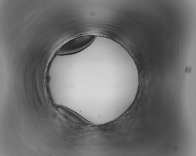 X0000114400289200911061544