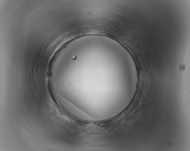 X0000114400290200911061544