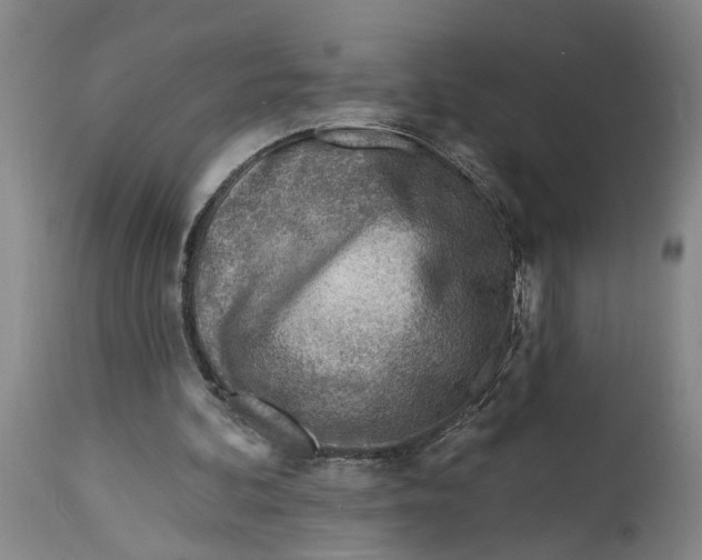 X0000114400292200911061544