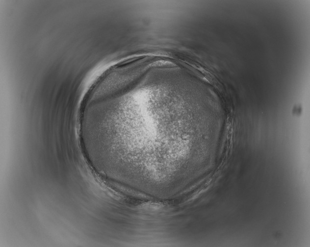 X0000114400294200911061544