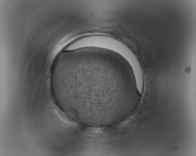 X0000114400295200911061544