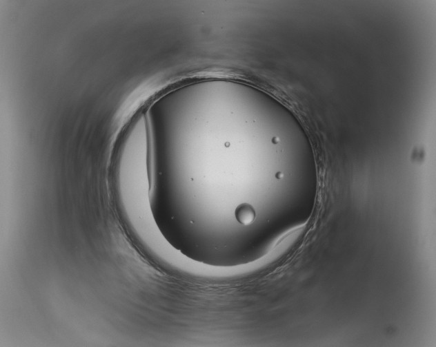 X0000114400296200911061544