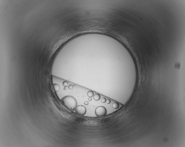 X0000114400299200911061544