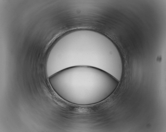 X0000114400300200911061544