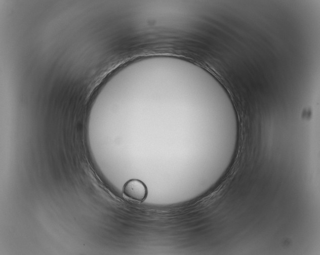 X0000114400301200911061544