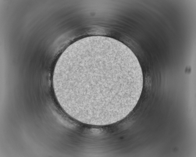 X0000114400302200911061544