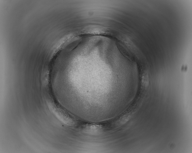 X0000114400304200911061544