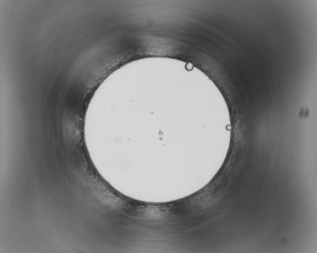 X0000114400305200911061544