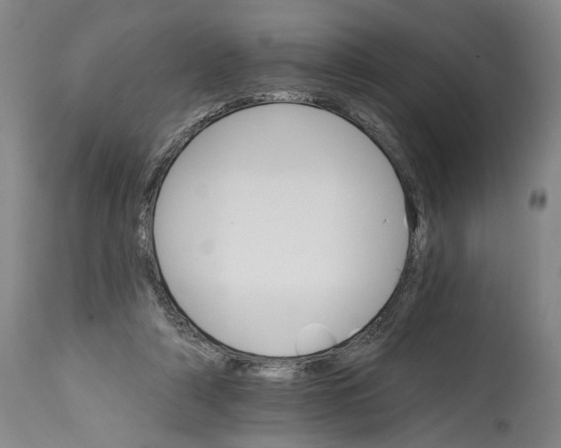 X0000114400306200911061544