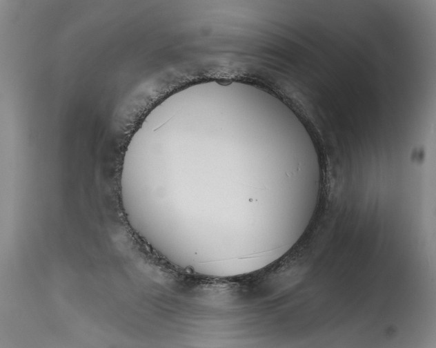 X0000114400307200911061544