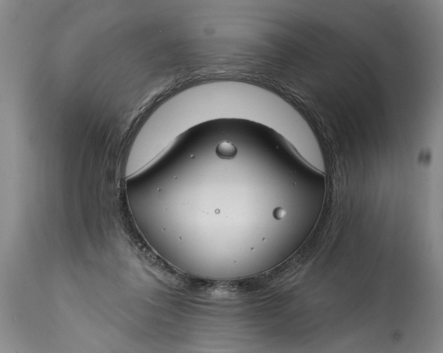 X0000114400308200911061544