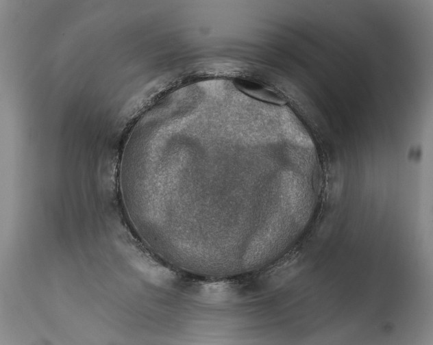 X0000114400309200911061544