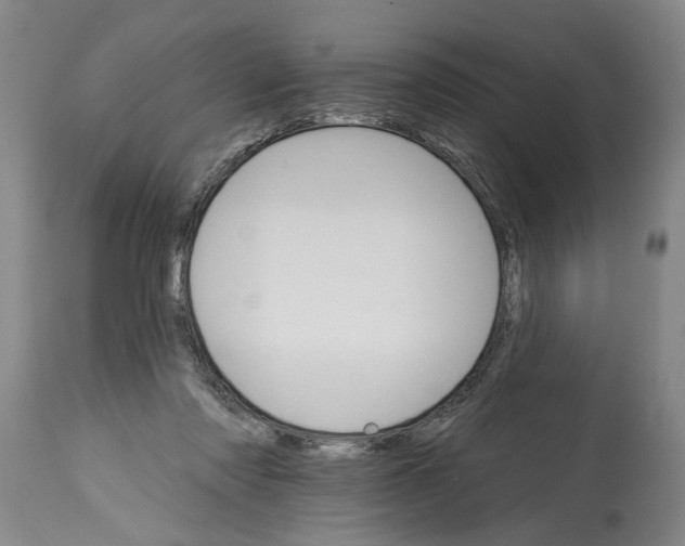 X0000114400310200911061544