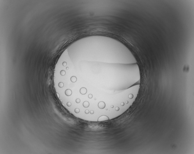 X0000114400311200911061544