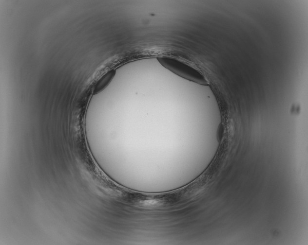 X0000114400312200911061544