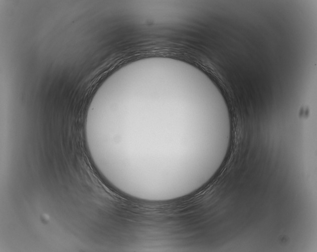 X0000114400313200911061544