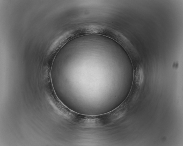 X0000114400314200911061544