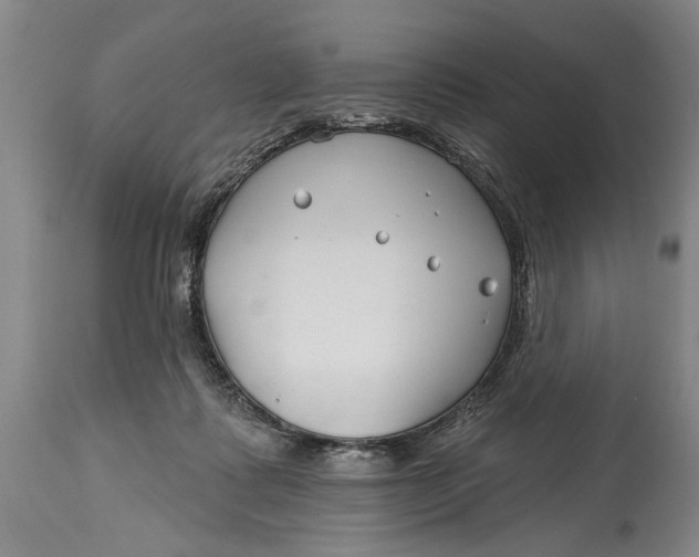 X0000114400315200911061544