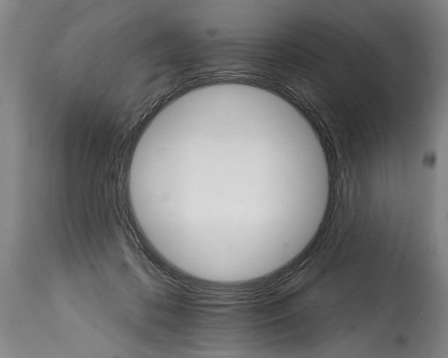 X0000114400316200911061544