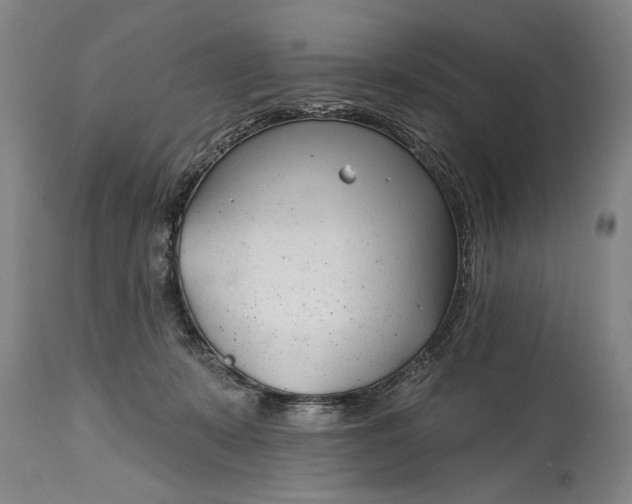 X0000114400319200911061544