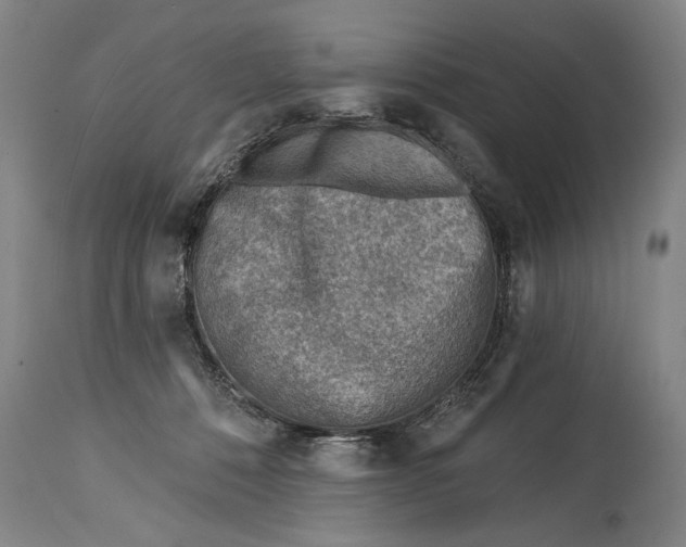 X0000114400320200911061544