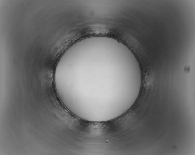 X0000114400321200911061544