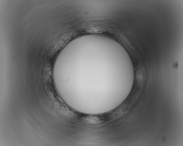 X0000114400322200911061544