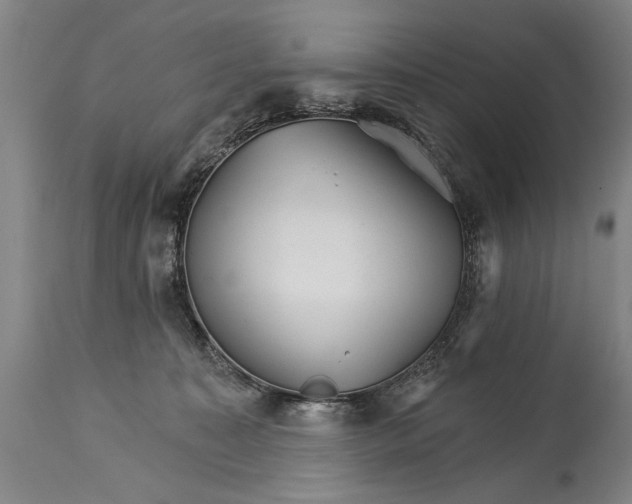 X0000114400323200911061544