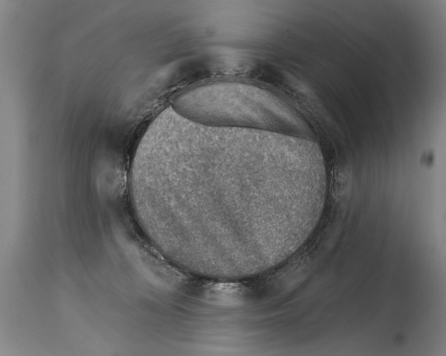 X0000114400324200911061544