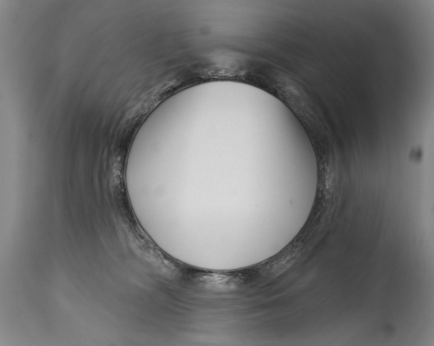 X0000114400326200911061543