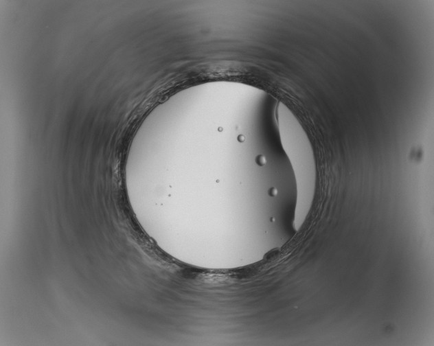 X0000114400327200911061543