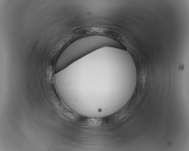 X0000114400328200911061543