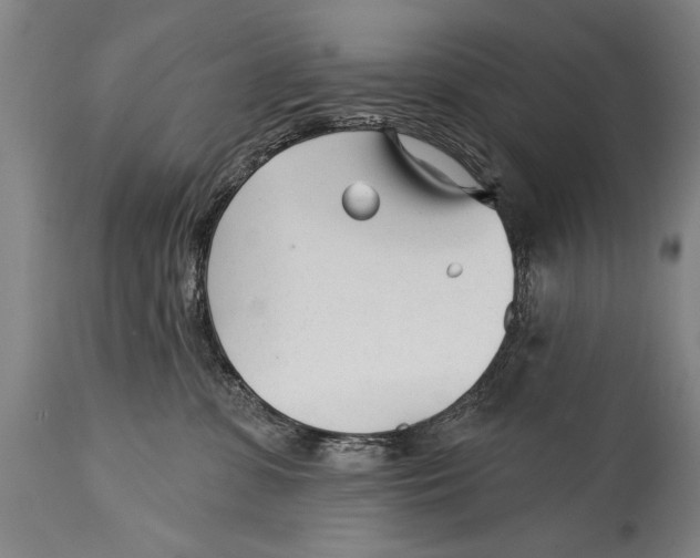 X0000114400331200911061543