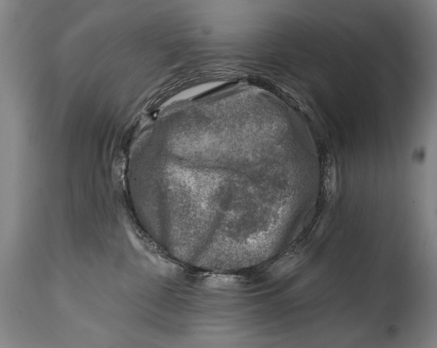 X0000114400332200911061543