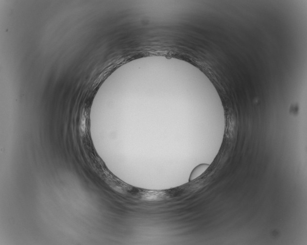 X0000114400334200911061543