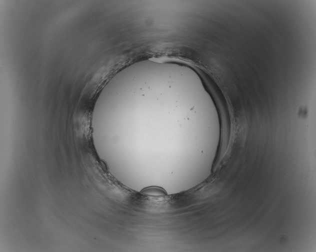 X0000114400335200911061543